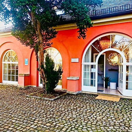Villa Am Park Apartment Дрезден Екстериор снимка